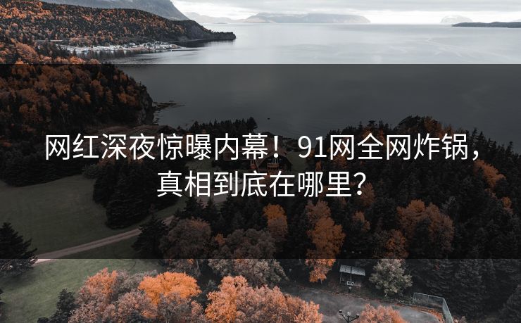 网红深夜惊曝内幕！91网全网炸锅，真相到底在哪里？