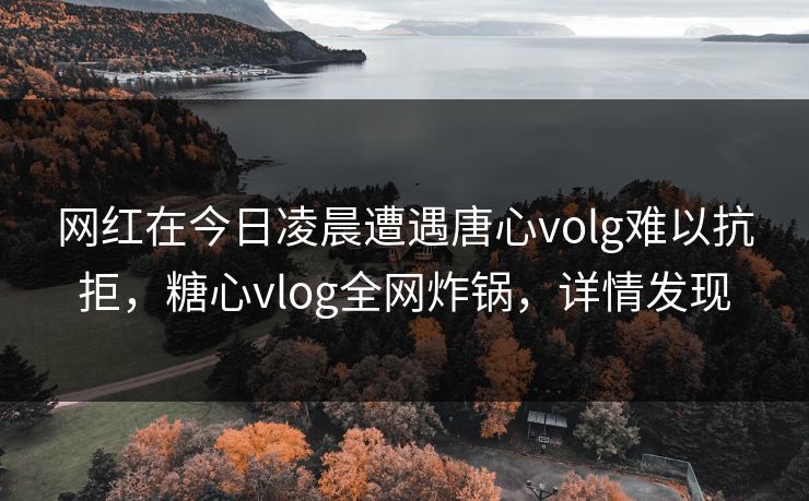 网红在今日凌晨遭遇唐心volg难以抗拒，糖心vlog全网炸锅，详情发现