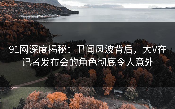 91网深度揭秘：丑闻风波背后，大V在记者发布会的角色彻底令人意外